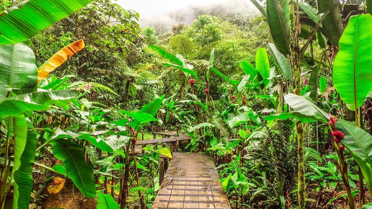 Mindo Garden Lodge And Wildlife Reserve Extérieur photo